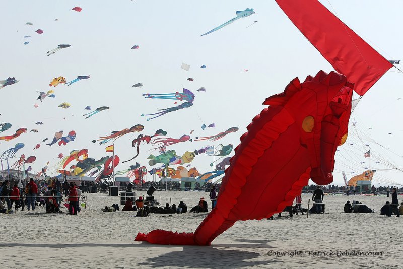 993 Cerfs volants  Berck sur Mer - MK3_8546_DxO WEB.jpg