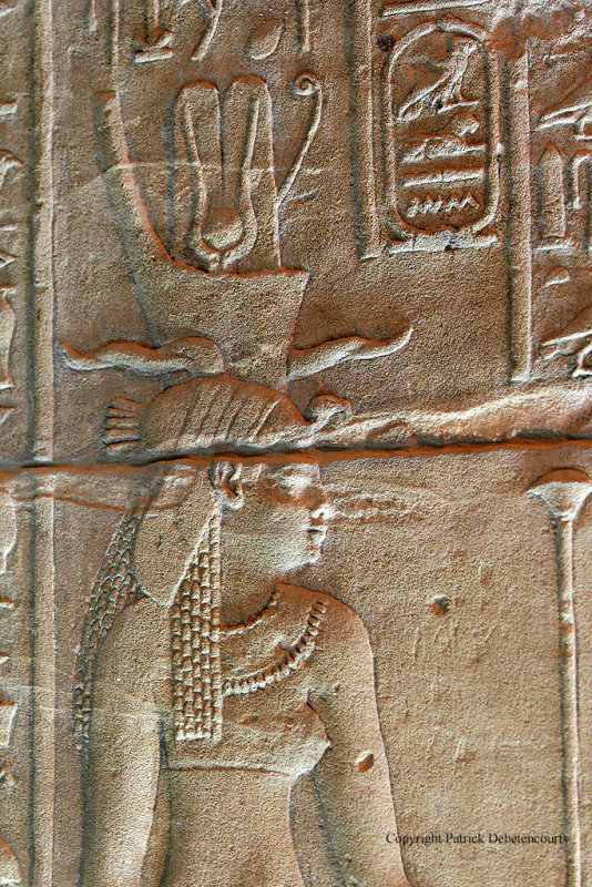 Visite du temple de Philae - 650 Vacances en Egypte - MK3_9513_DxO WEB.jpg