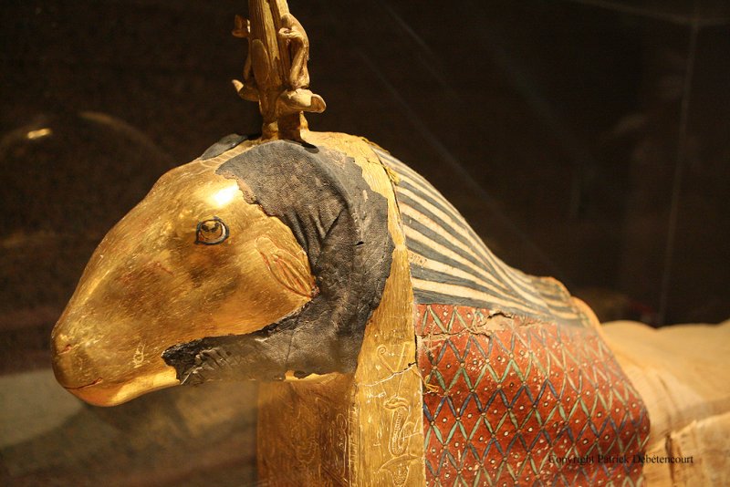Assouan visite du musee Nubien - 913 Vacances en Egypte - MK3_9788 WEB.jpg