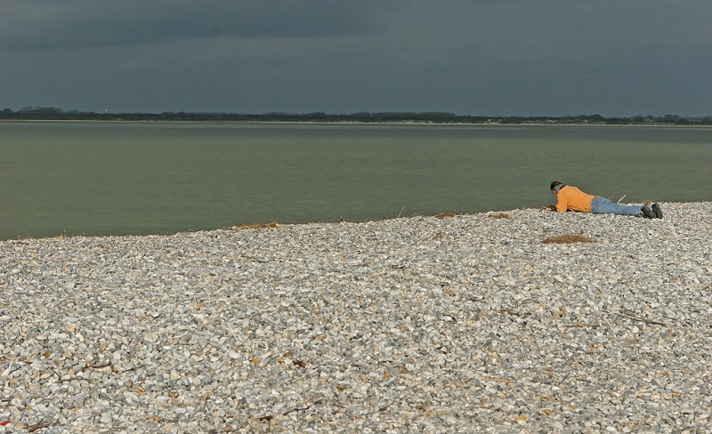 2007 - La pointe du Hourdel dans la baie de Somme