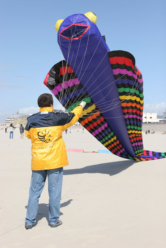 Pbase 222 Berck 2008 IMG_5522 DxO.jpg