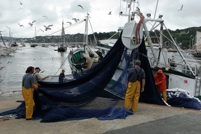 121 Douarnenez 2008 IMG_9493 DxO web.jpg