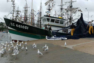 130 Douarnenez 2008 IMG_9502 DxO web.jpg
