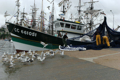 132 Douarnenez 2008 IMG_9504 DxO web.jpg