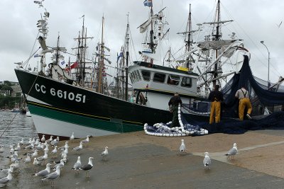 135 Douarnenez 2008 IMG_9507 DxO web.jpg