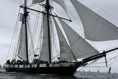 664 Douarnenez 2008 IMG_9638 DxO web.jpg