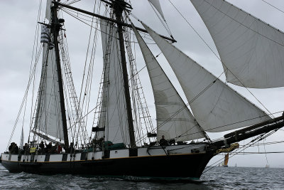 665 Douarnenez 2008 IMG_9639 DxO web.jpg
