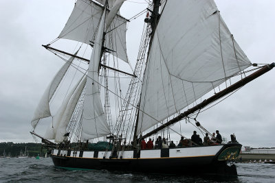 680 Douarnenez 2008 IMG_9648 DxO web.jpg