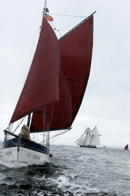 724 Douarnenez 2008 IMG_9674 DxO web.jpg