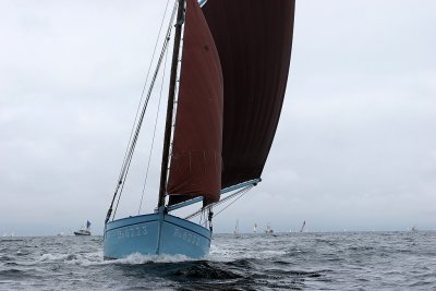 866 Douarnenez 2008 IMG_9746 DxO web.jpg