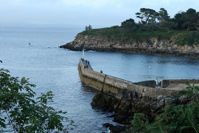 1052 Douarnenez 2008 MK3_6469 DxO web.jpg