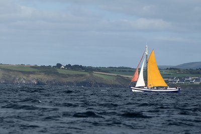 g3/09/515909/3/101461678.wF0ml2op.jpg