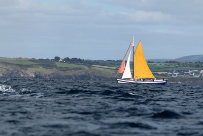 g3/09/515909/3/101461680.XmNE9YG2.jpg