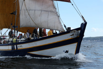 g3/09/515909/3/101564422.jimoCOIA.jpg