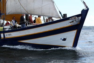 g3/09/515909/3/101564426.bL789UsN.jpg
