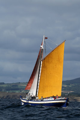 g3/09/515909/3/101564505.FF51GLZF.jpg