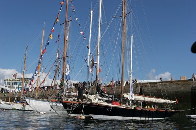 Les Pen Duick lors du rassemblement de vieux grements Douarnenez 2008