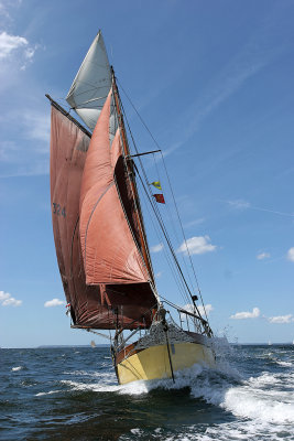 3243 Douarnenez 2008 IMG_0391 DxO web.jpg