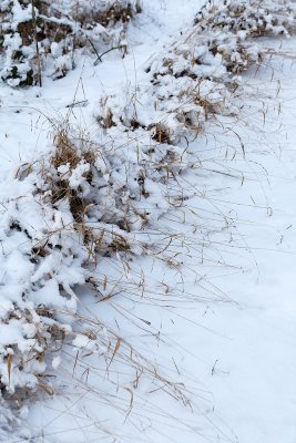 Randonne dans la campagne enneige prs de Magny-en-Vexin