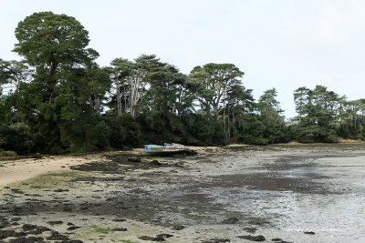 Cimetire de vieux bateaux de pche de l'le Berder