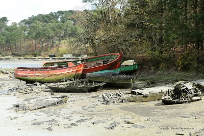 Le cimetire de bateaux de la rivire du Bono - MK3_9763 DxO Pbase.jpg