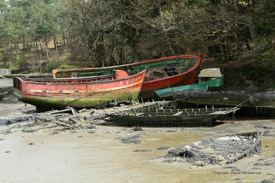 Le cimetire de bateaux de la rivire du Bono - MK3_9793 DxO Pbase.jpg