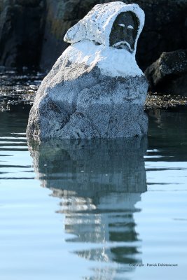 Sur le golfe du Morbihan en semi-rigide - MK3_9398 DxO Pbase.jpg