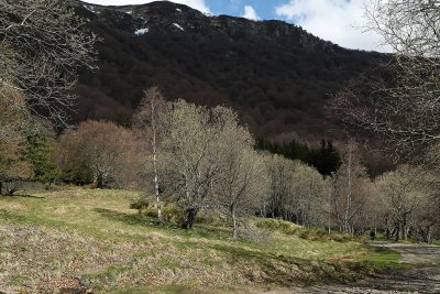 Week end en Auvergne mai 2009 -  MK3_0176 DxO Pbase.jpg