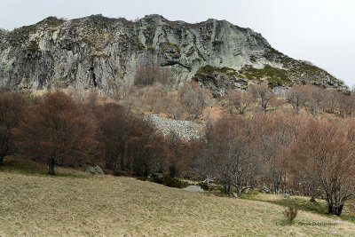 Week end en Auvergne mai 2009 -  MK3_0202 DxO Pbase.jpg