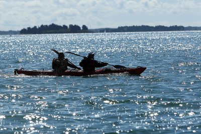 Sur le golfe du Morbihan en semi-rigide - MK3_9602 DxO Pbase.jpg