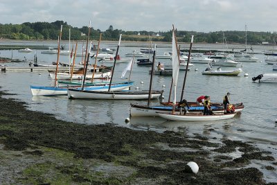 2882  Semaine du Golfe 2009 - IMG_2239 DxO  web.jpg