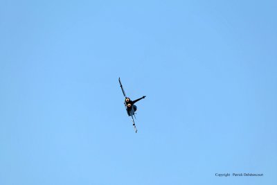 4172 Meeting aerien de la Ferte Alais 2009 - MK3_1616 DxO  web.jpg