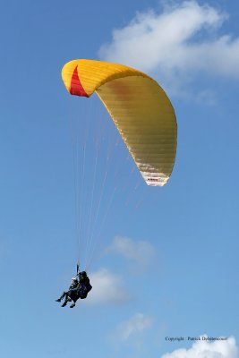 23 Lorraine Mondial Air Ballons 2009 - MK3_3360_DxO  web.jpg