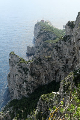 75 Vacances a Capri 2009 - MK3_5140 DxO Pbase.jpg