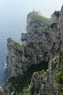 81 Vacances a Capri 2009 - MK3_5146 DxO Pbase.jpg