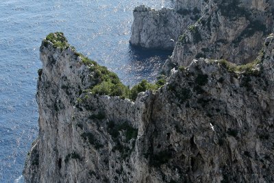 86 Vacances a Capri 2009 - MK3_5151 DxO Pbase.jpg