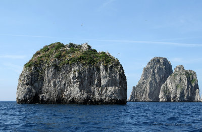 312 Vacances a Capri 2009 - MK3_5384 DxO Pbase.jpg