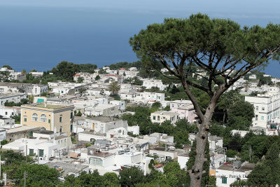 717 Vacances a Capri 2009 - MK3_5791 DxO Pbase.jpg