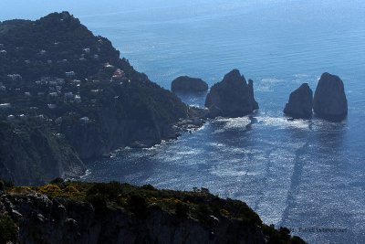 768 Vacances a Capri 2009 - MK3_5835 DxO_raw Pbase.jpg