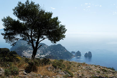 814 Vacances a Capri 2009 - MK3_5868 DxO_raw Pbase.jpg