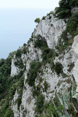 1393 Vacances a Capri 2009 - MK3_6457 DxO Pbase.jpg
