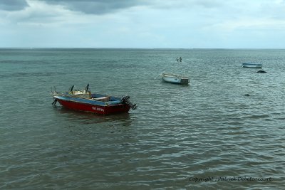 2 weeks on Mauritius island in march 2010 - 42MK3_7862_DxO WEB.jpg