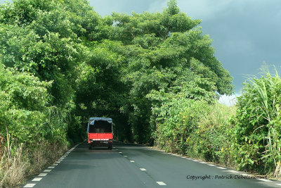 2 weeks on Mauritius island in march 2010 - 73MK3_7894_DxO WEB.jpg