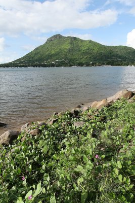 2 weeks on Mauritius island in march 2010 - 256MK3_8079_DxO WEB.jpg