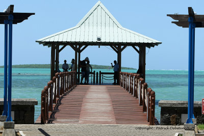 2 weeks on Mauritius island in march 2010 - 474MK3_8318_DxO WEB.jpg
