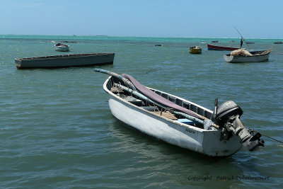 2 weeks on Mauritius island in march 2010 - 491MK3_8335_DxO WEB.jpg