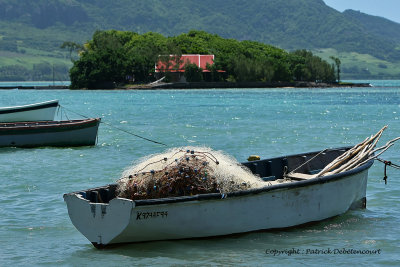 2 weeks on Mauritius island in march 2010 - 500MK3_8344_DxO WEB.jpg