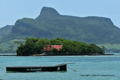 2 weeks on Mauritius island in march 2010 - 505MK3_8349_DxO WEB.jpg
