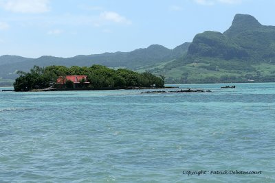 2 weeks on Mauritius island in march 2010 - 514MK3_8358_DxO WEB.jpg