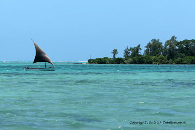 2 weeks on Mauritius island in march 2010 - 522MK3_8366_DxO WEB.jpg